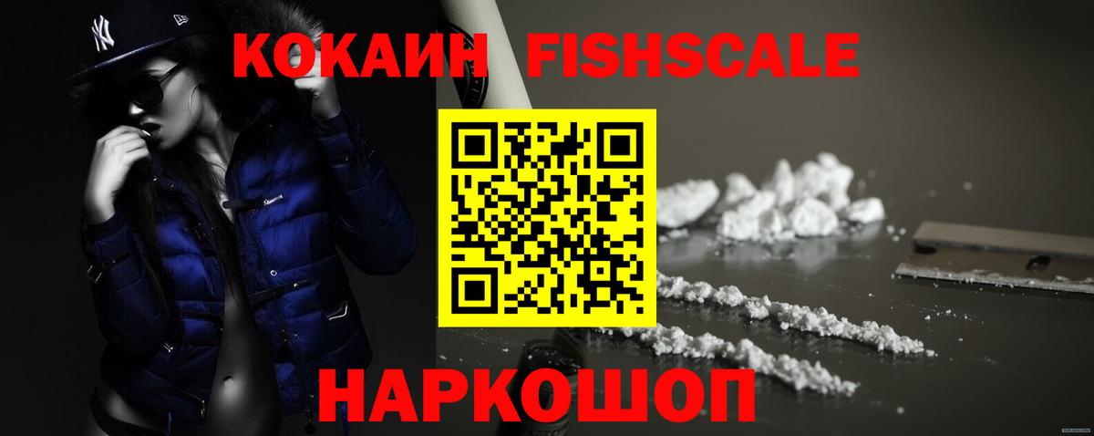 Cocaine FishScale  Кокаин  Елизово  купить закладку  COCAIN Columbia 