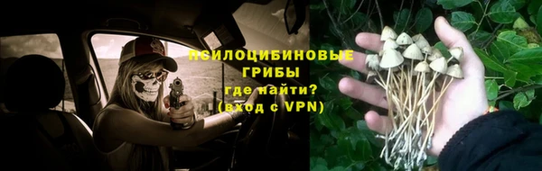 молекула духа Горняк