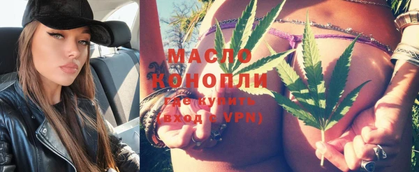 молекула духа Горняк