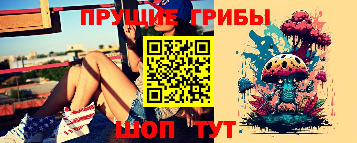 Галлюциногенные грибы GOLDEN TEACHER  Вход с VPN  хочу наркоту  Елизово 