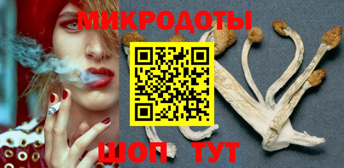 Галлюциногенные грибы прущие грибы  Елизово 